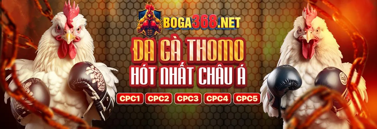 Đá gà trực tuyến kịch tính tại hay88 chính thức