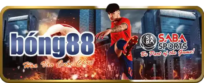 Giao diện cá cược trực tiếp với bảng tỷ lệ cược và thống kê trận đấu